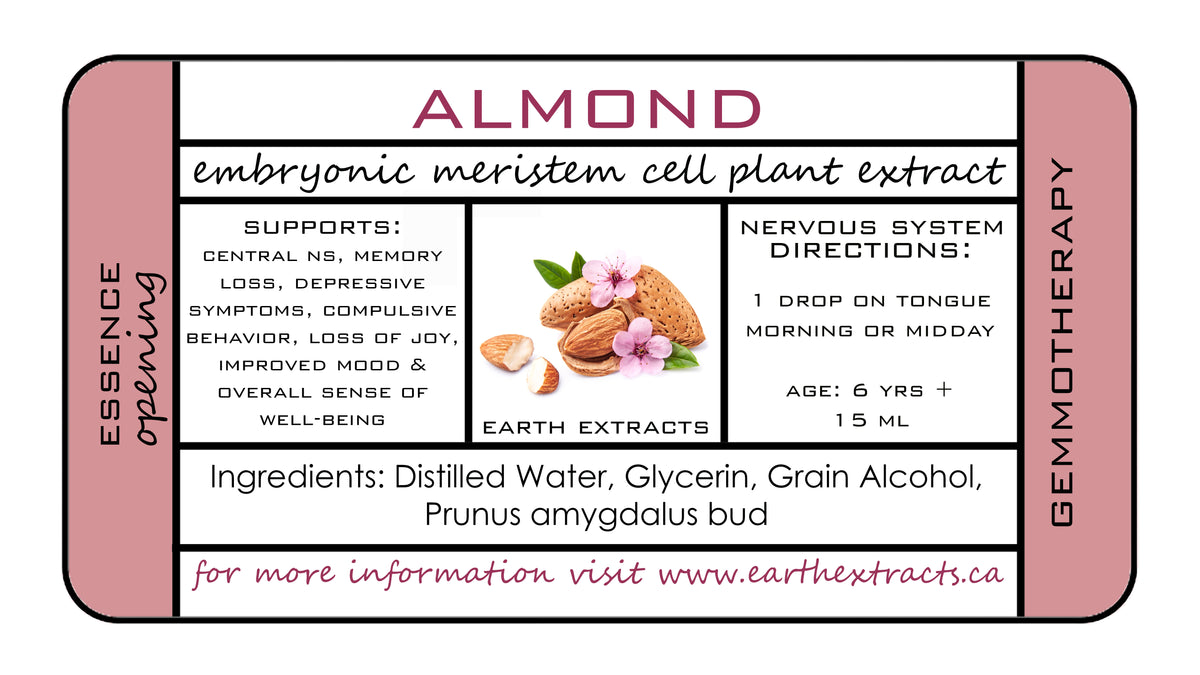Gemmotherapy Nervous System Extracts