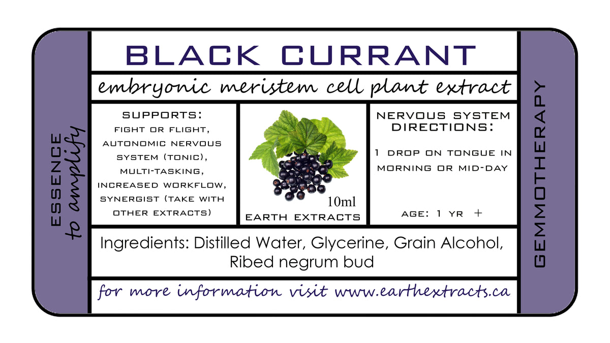 Gemmotherapy Nervous System Extracts