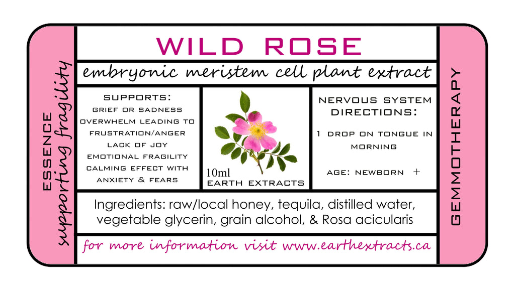 Gemmotherapy Nervous System Extracts