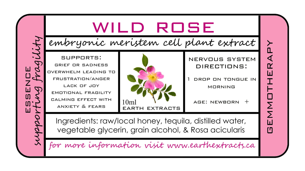 Gemmotherapy Nervous System Extracts