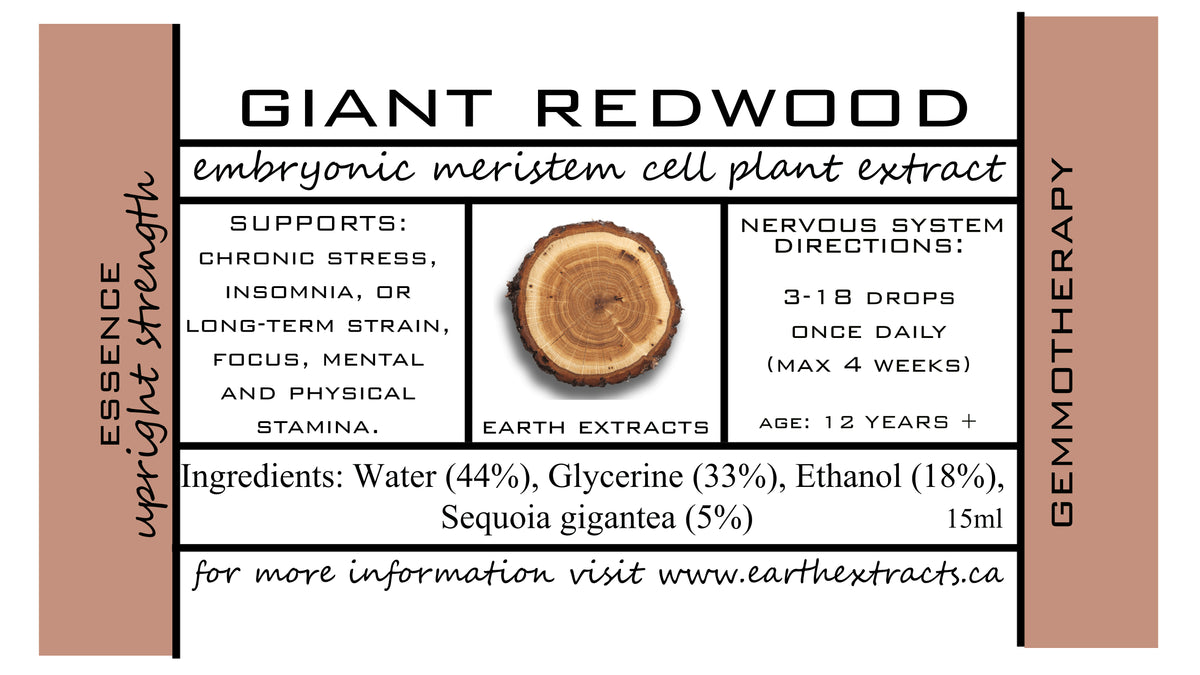 Gemmotherapy Nervous System Extracts