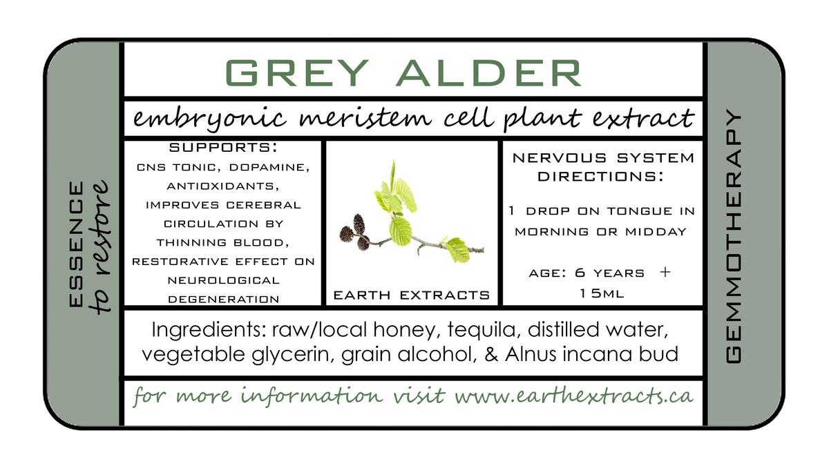 Gemmotherapy Nervous System Extracts
