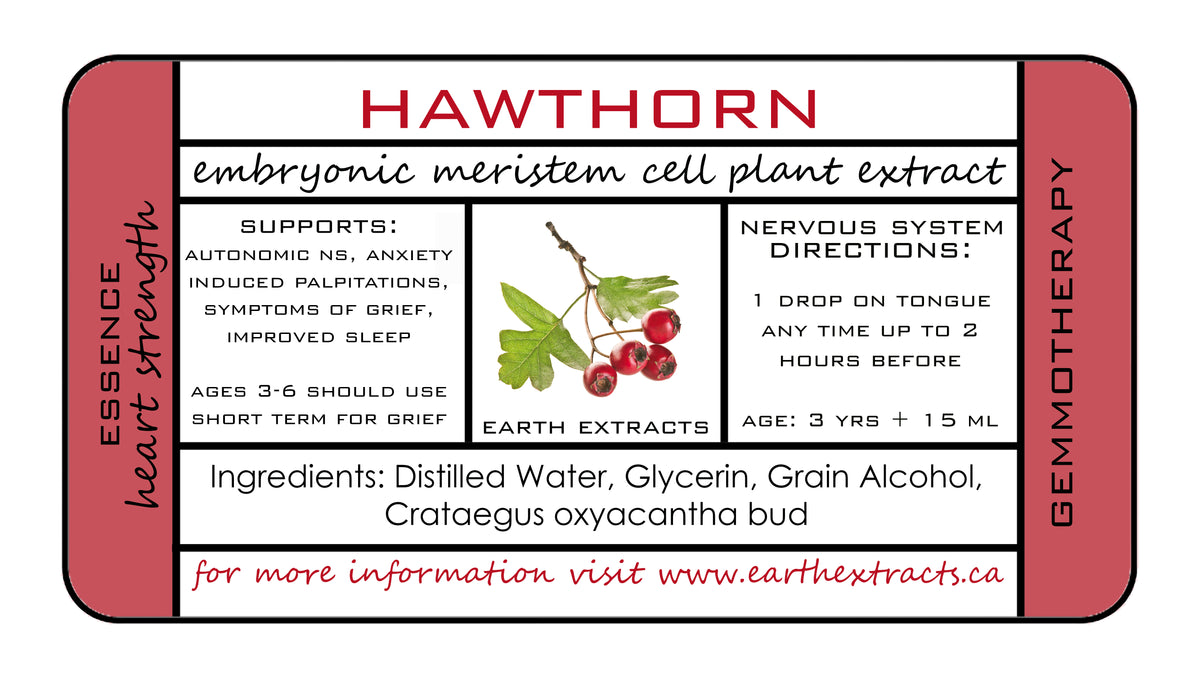 Gemmotherapy Nervous System Extracts