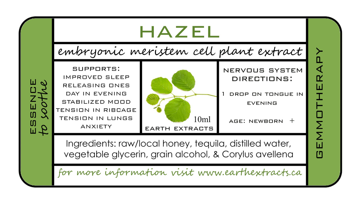 Gemmotherapy Nervous System Extracts
