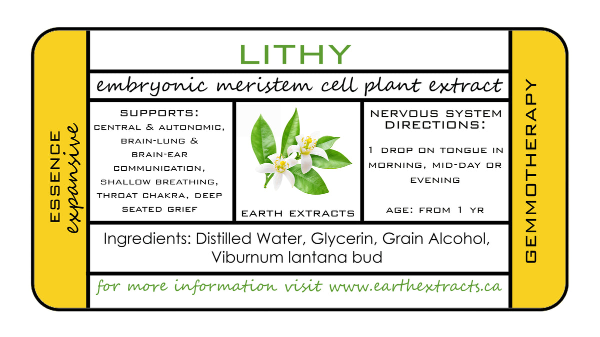 Gemmotherapy Nervous System Extracts