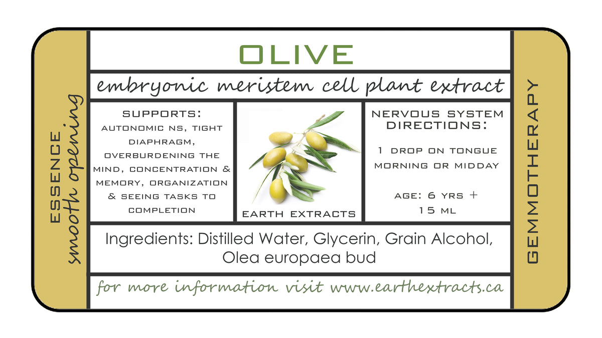 Gemmotherapy Nervous System Extracts