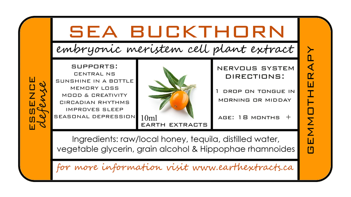 Gemmotherapy Nervous System Extracts