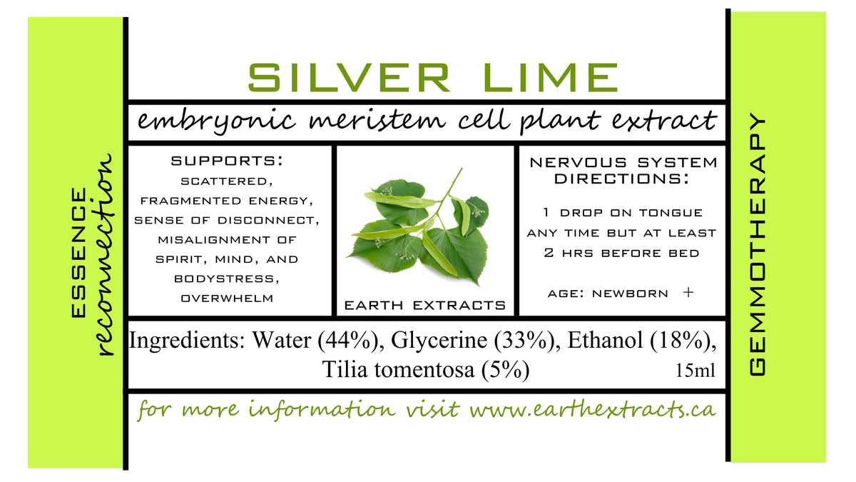Gemmotherapy Nervous System Extracts