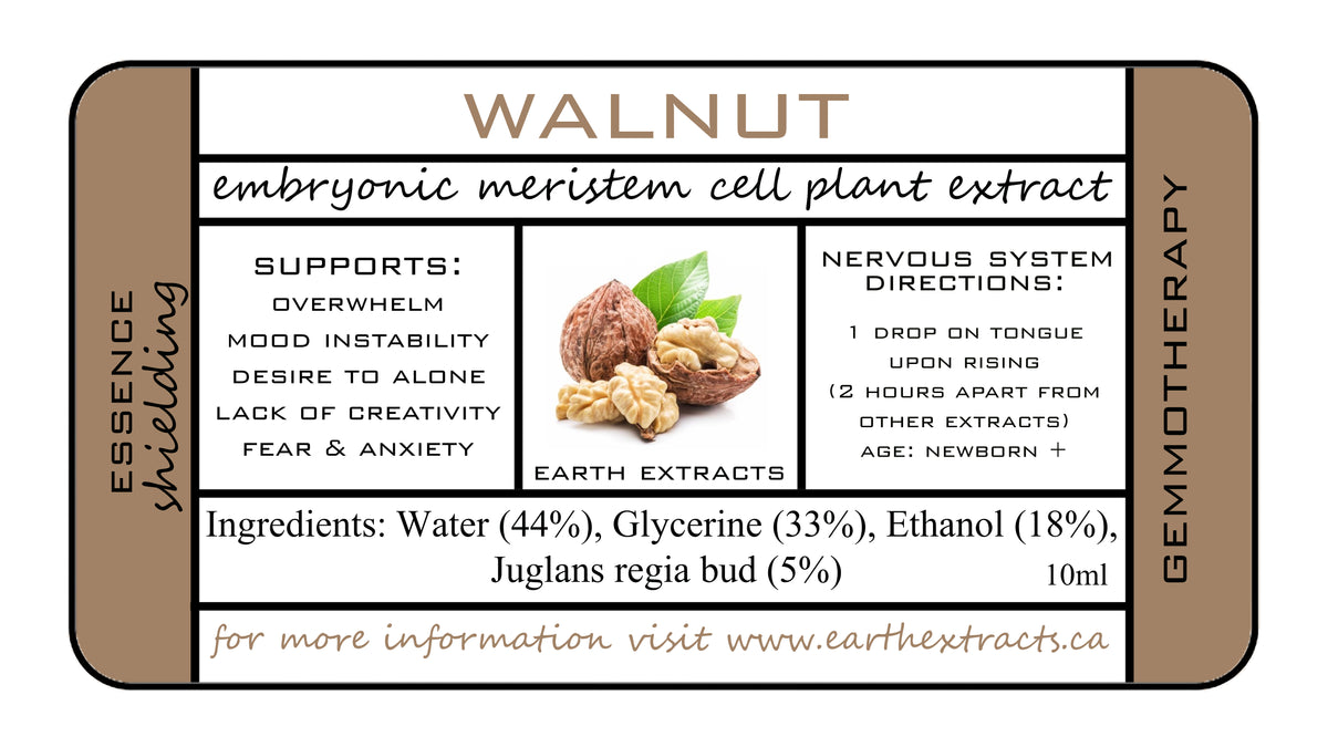 Gemmotherapy Nervous System Extracts