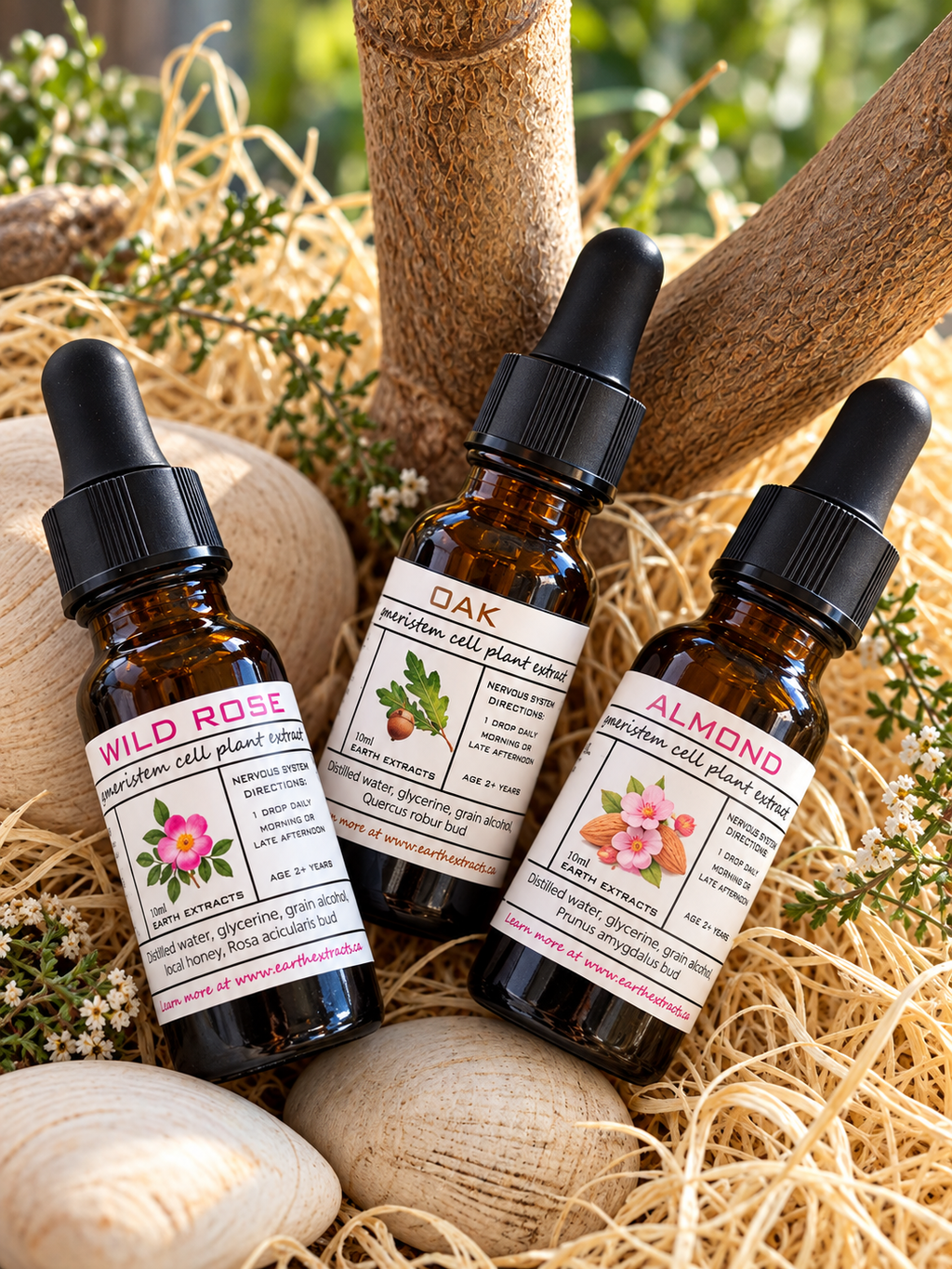 Gemmotherapy Nervous System Extracts