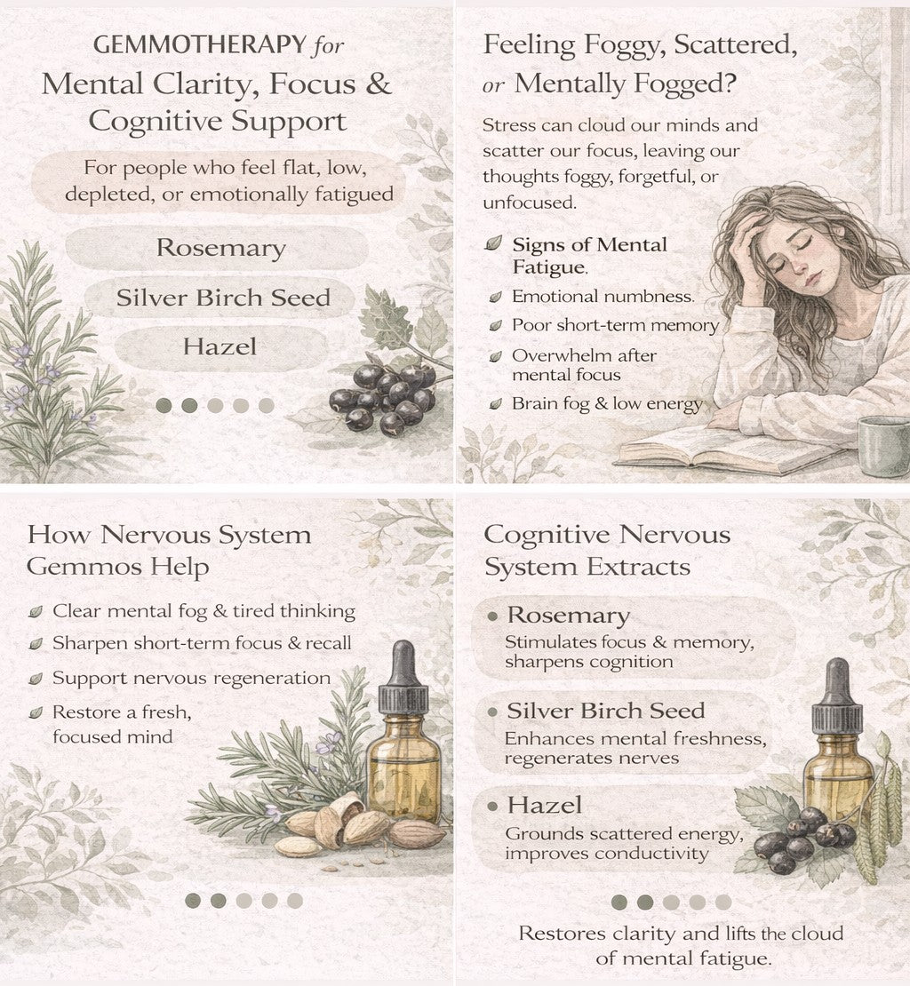 Gemmotherapy Nervous System Extracts