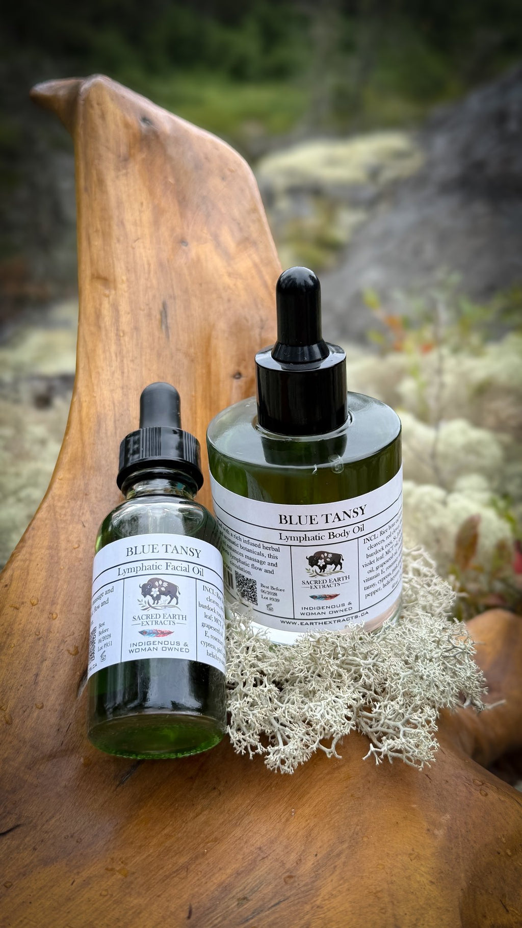 Blue Tansy body oil in gift size and full size