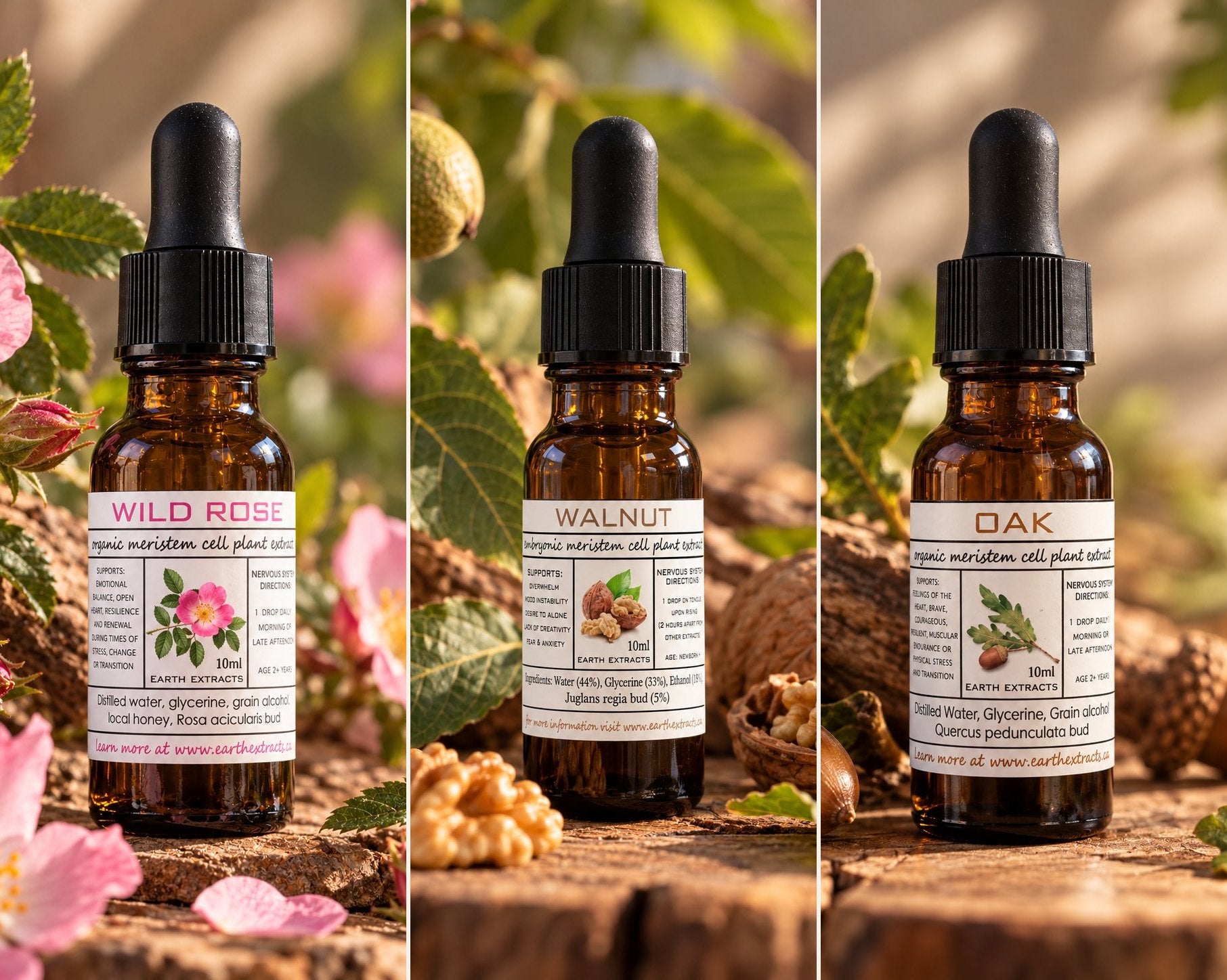 Wild Rose, Walnut and Oak gemmotherapy extracts in amber dropper bottles