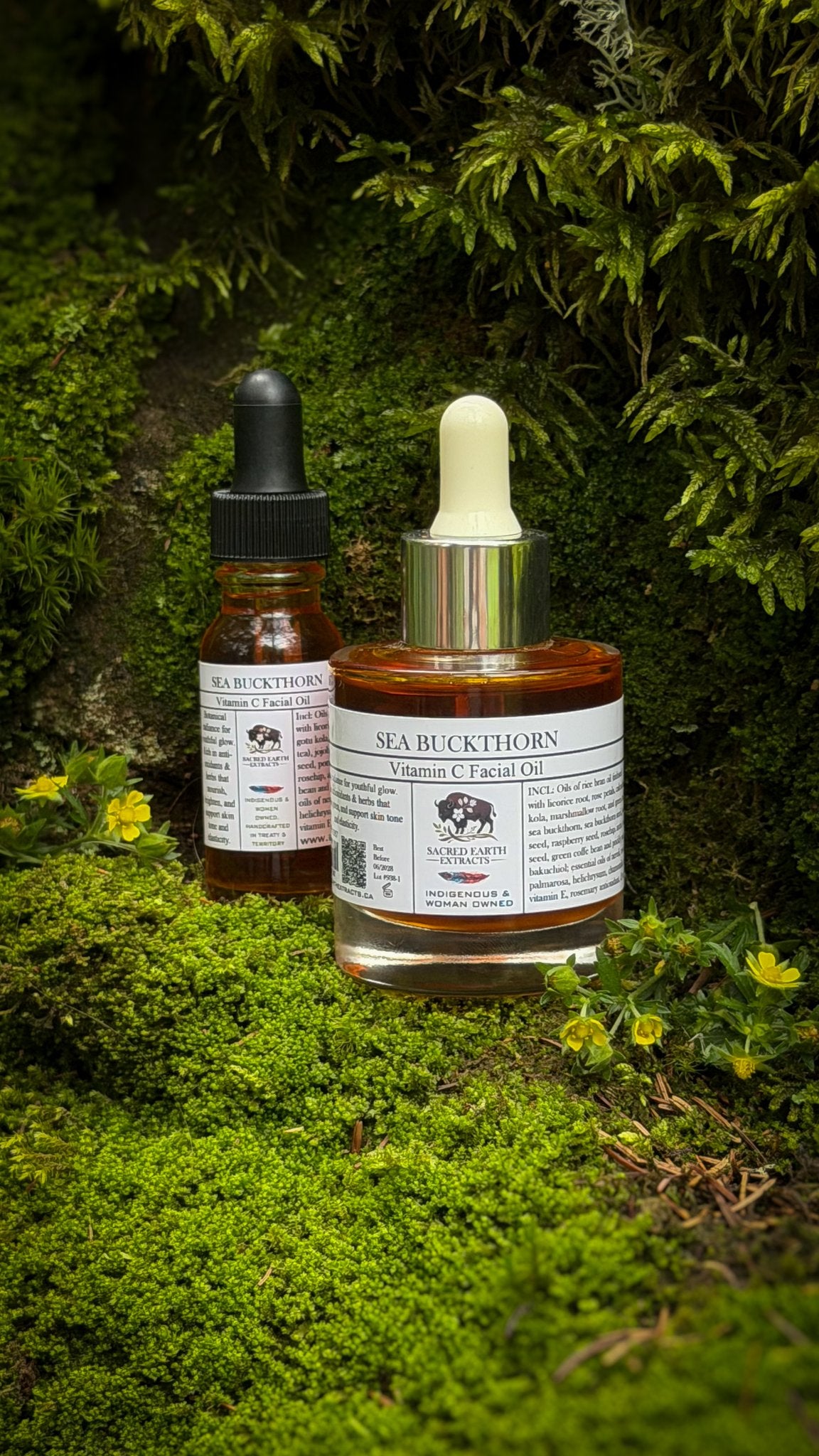 Sea Buckthorn facial oil in 15 ml and 50 ml bottles on moss