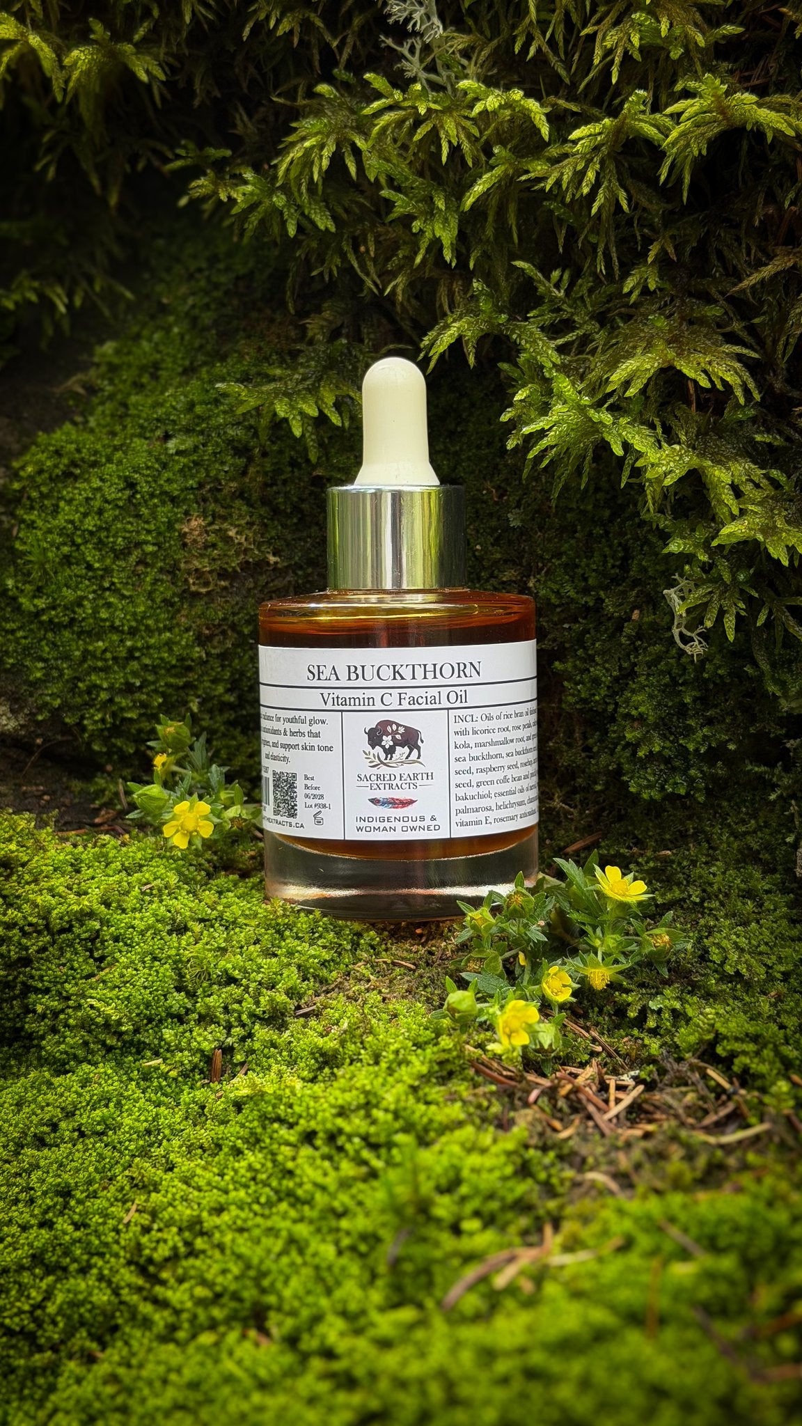 Sea Buckthorn facial oil 50 ml bottle on moss