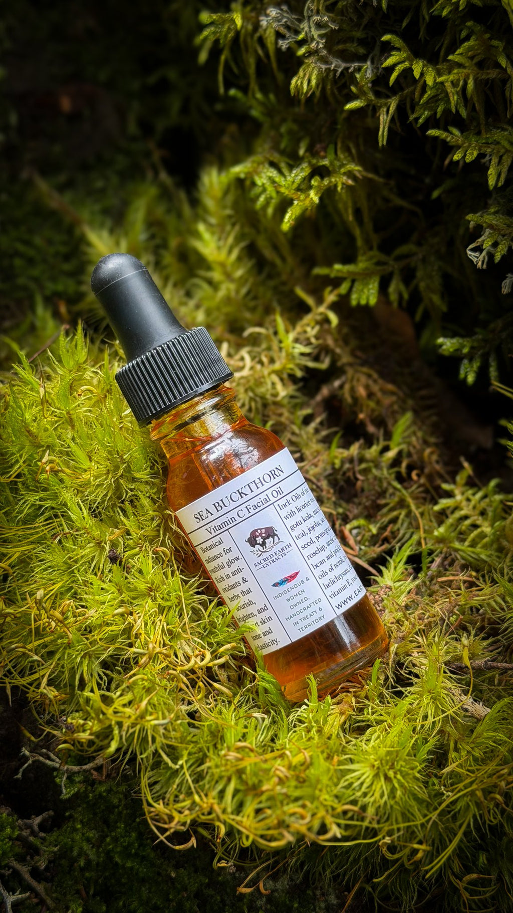 Sea Buckthorn facial oil dropper bottle resting on moss