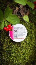 Summer Berry bison body butter jar with red bunchberries