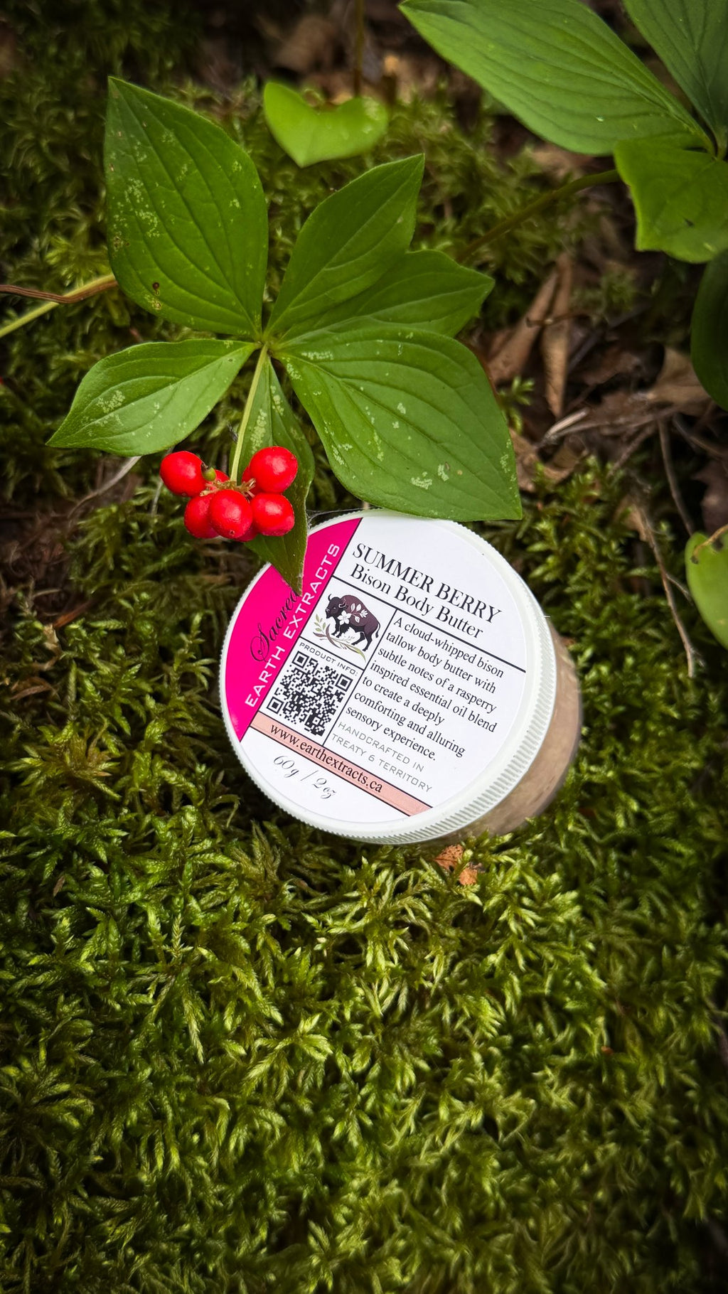 Summer Berry bison body butter on moss