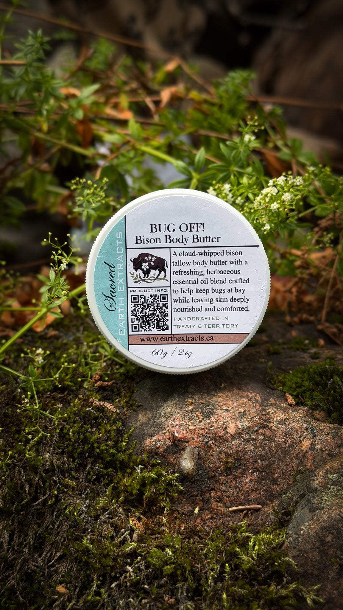 Bug Off bison body butter jar on a mossy rock