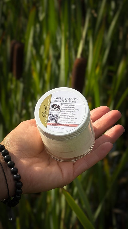 Simply Tallow bison body butter jar held in hand among cattails