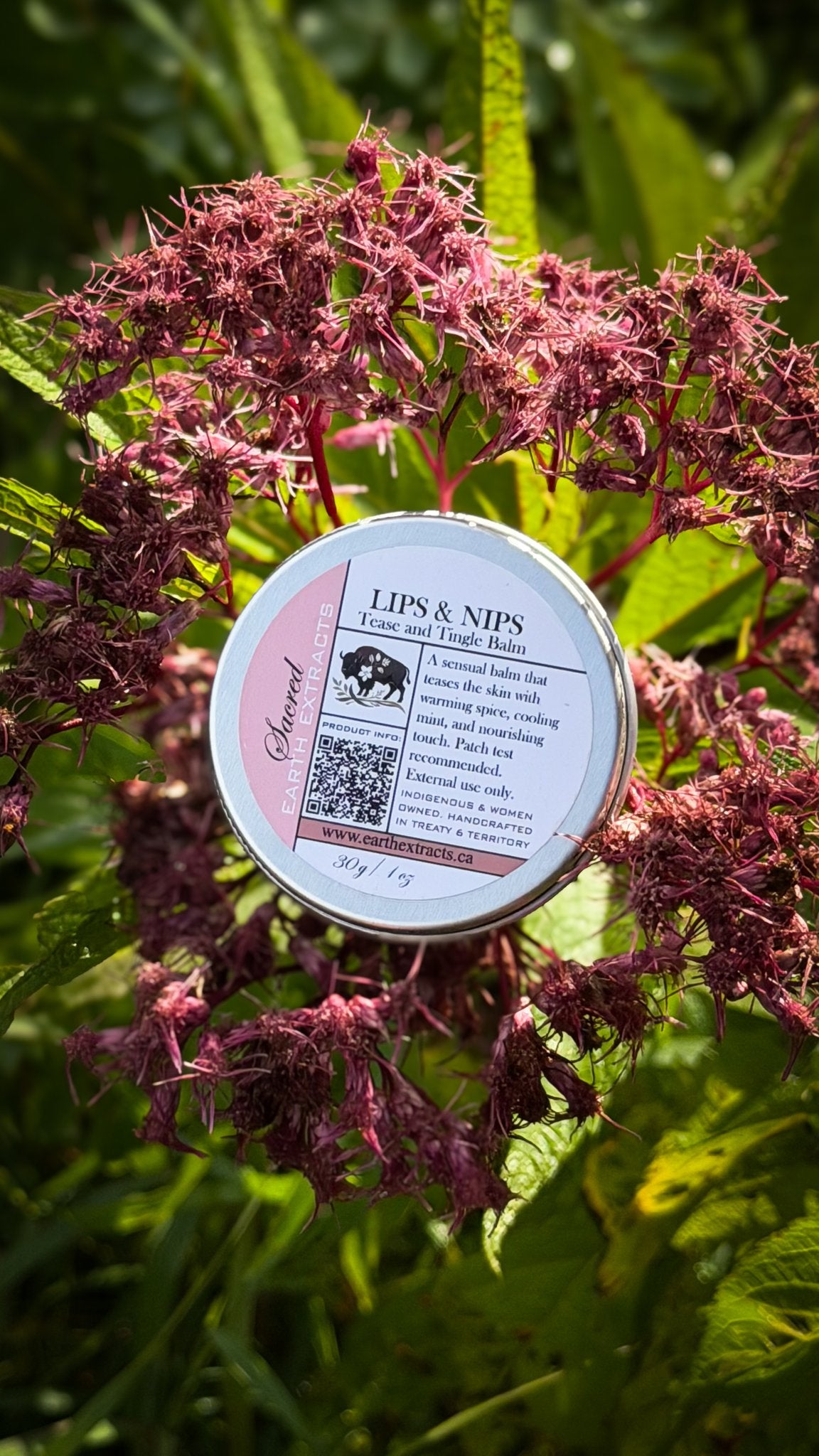 Lips and Nips tallow balm tin on pink wildflowers