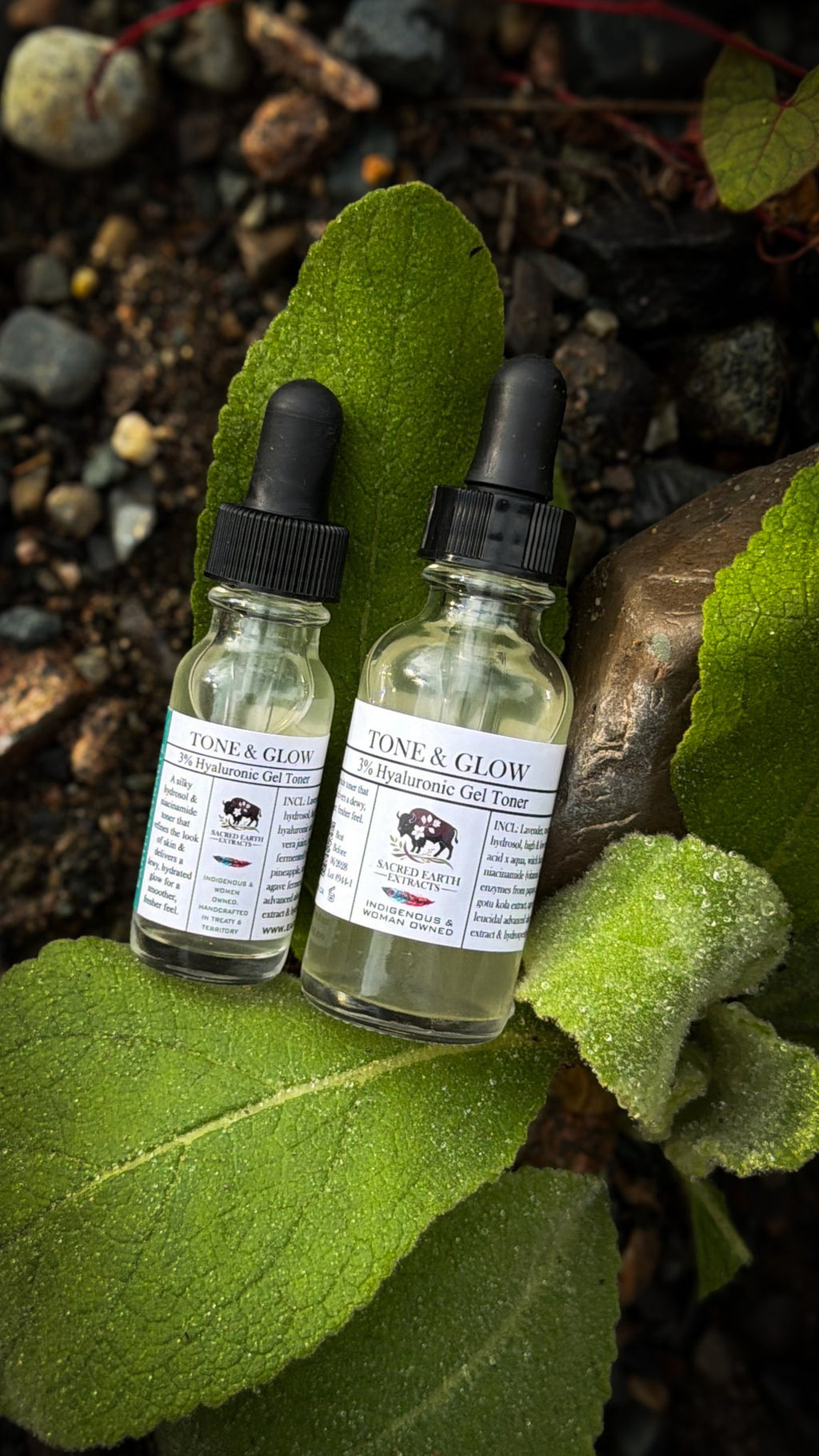 Tone and Glow gel toner bottles on green leaves