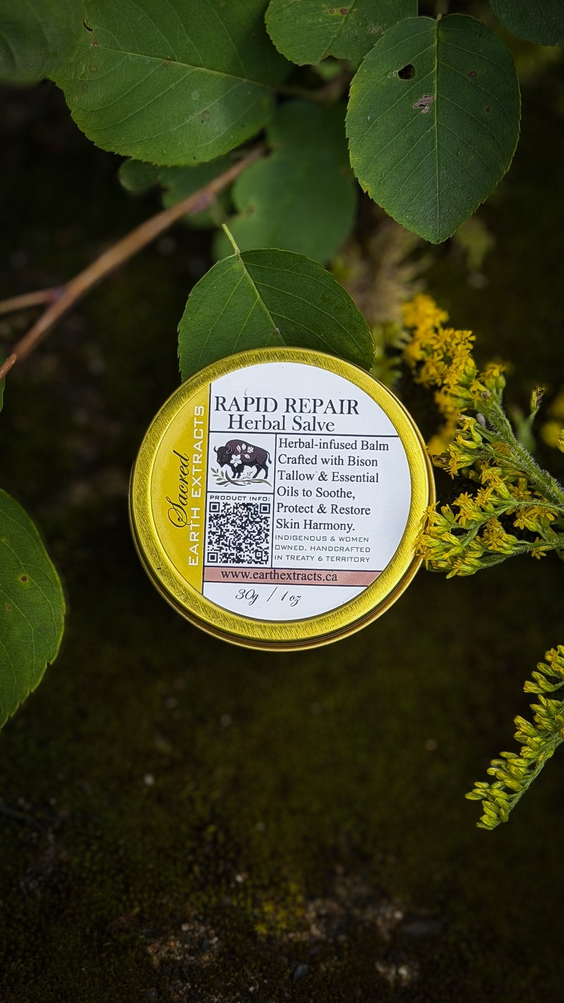 Rapid Repair tallow salve tin