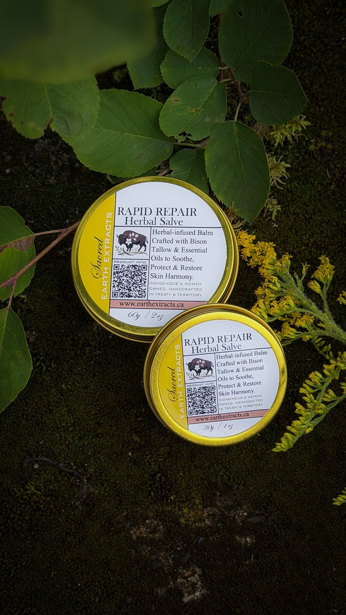 Two tins of Rapid Repair tallow salve
