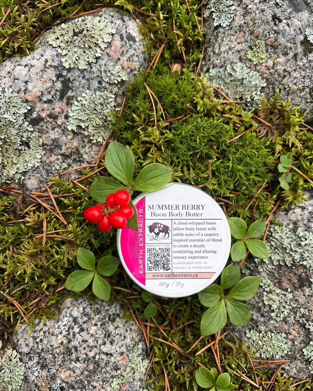 Summer Berry Bison Body Butter on a lichen-covered granite stone on a boreal forest floor