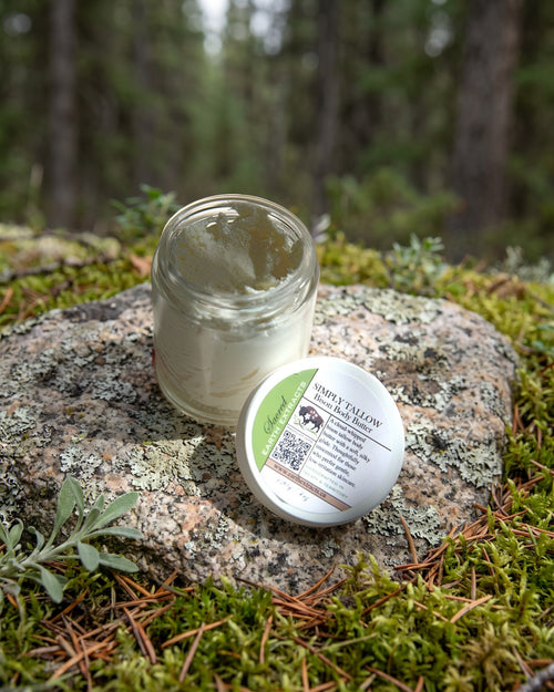 Bison Body Butter Unscented on a lichen-covered granite stone on a boreal forest floor