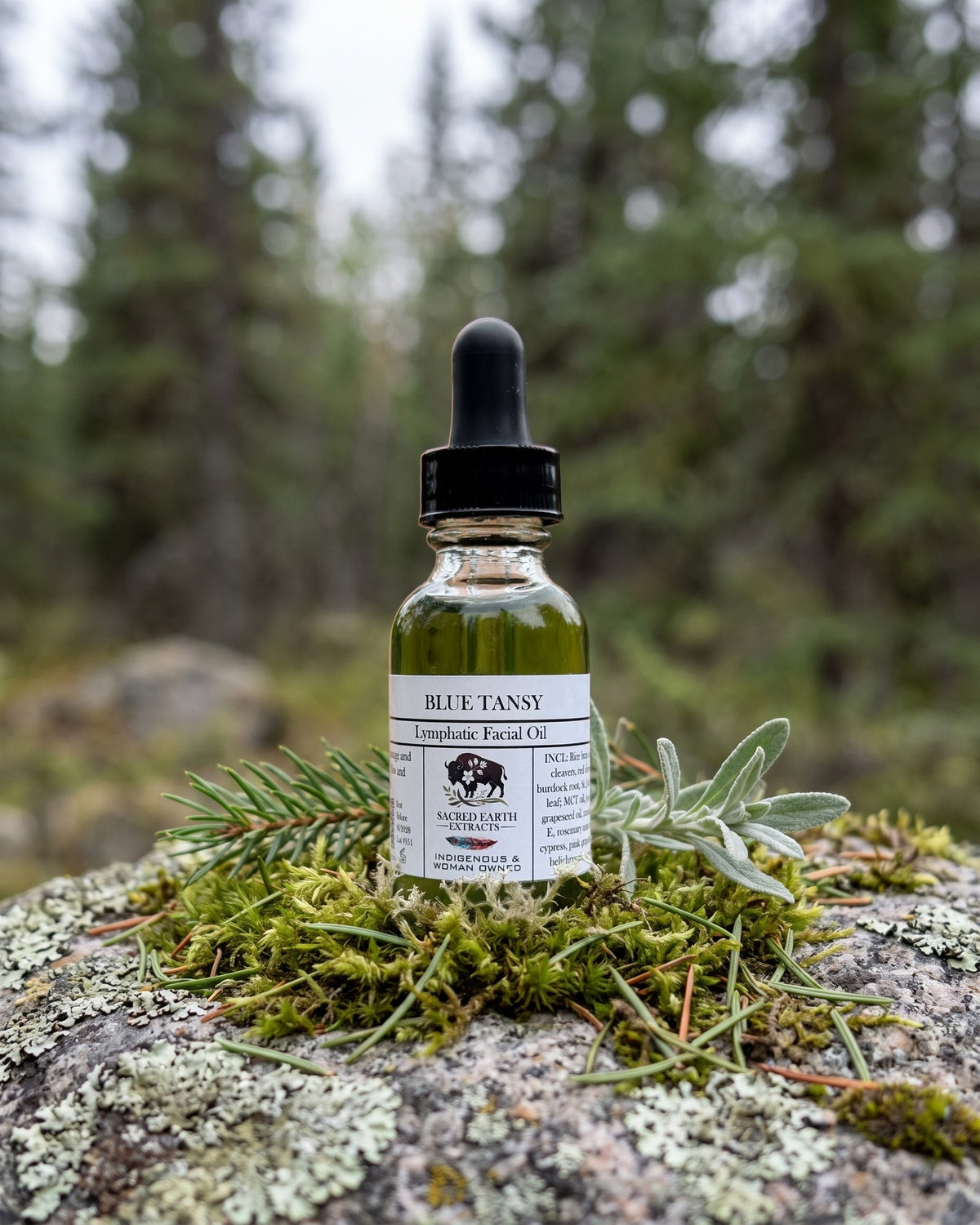 Blue Tansy Lymphatic Body Oil on a lichen-covered granite stone on a boreal forest floor