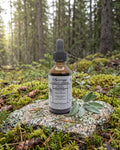 Synergy Vitality Drops on a lichen-covered granite stone on a boreal forest floor