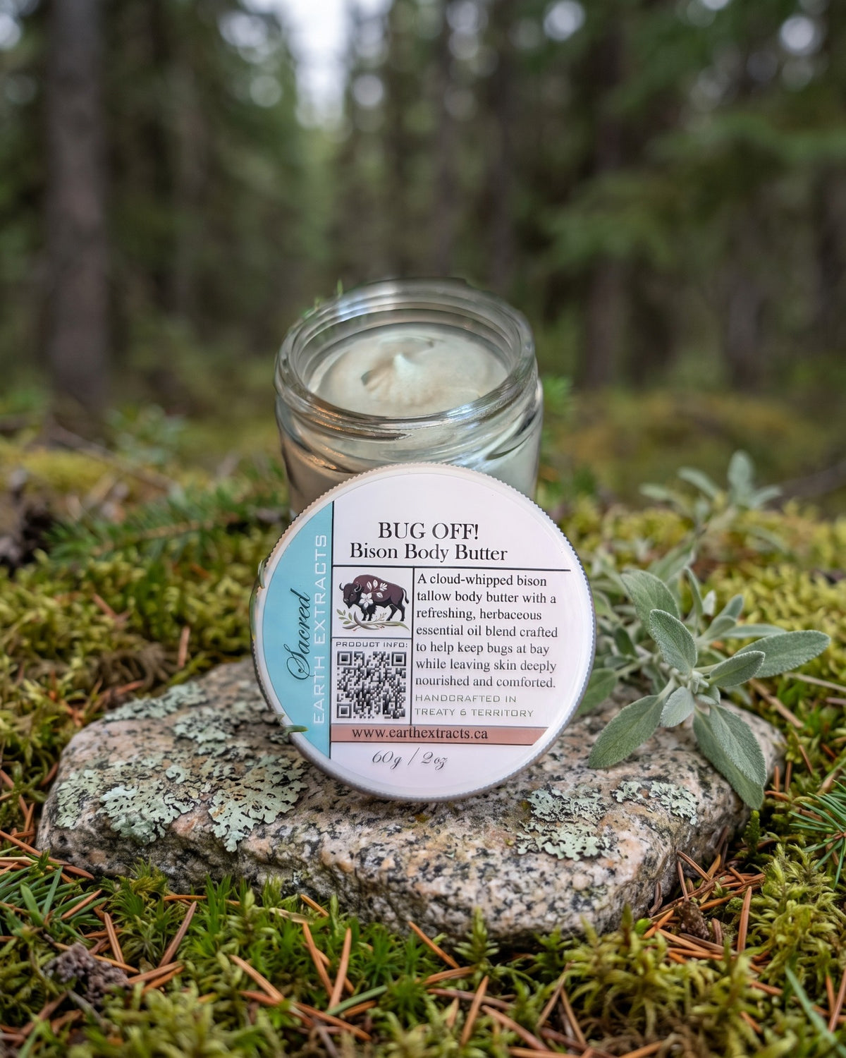 Bug Off! Body Butter on a lichen-covered granite stone on a boreal forest floor
