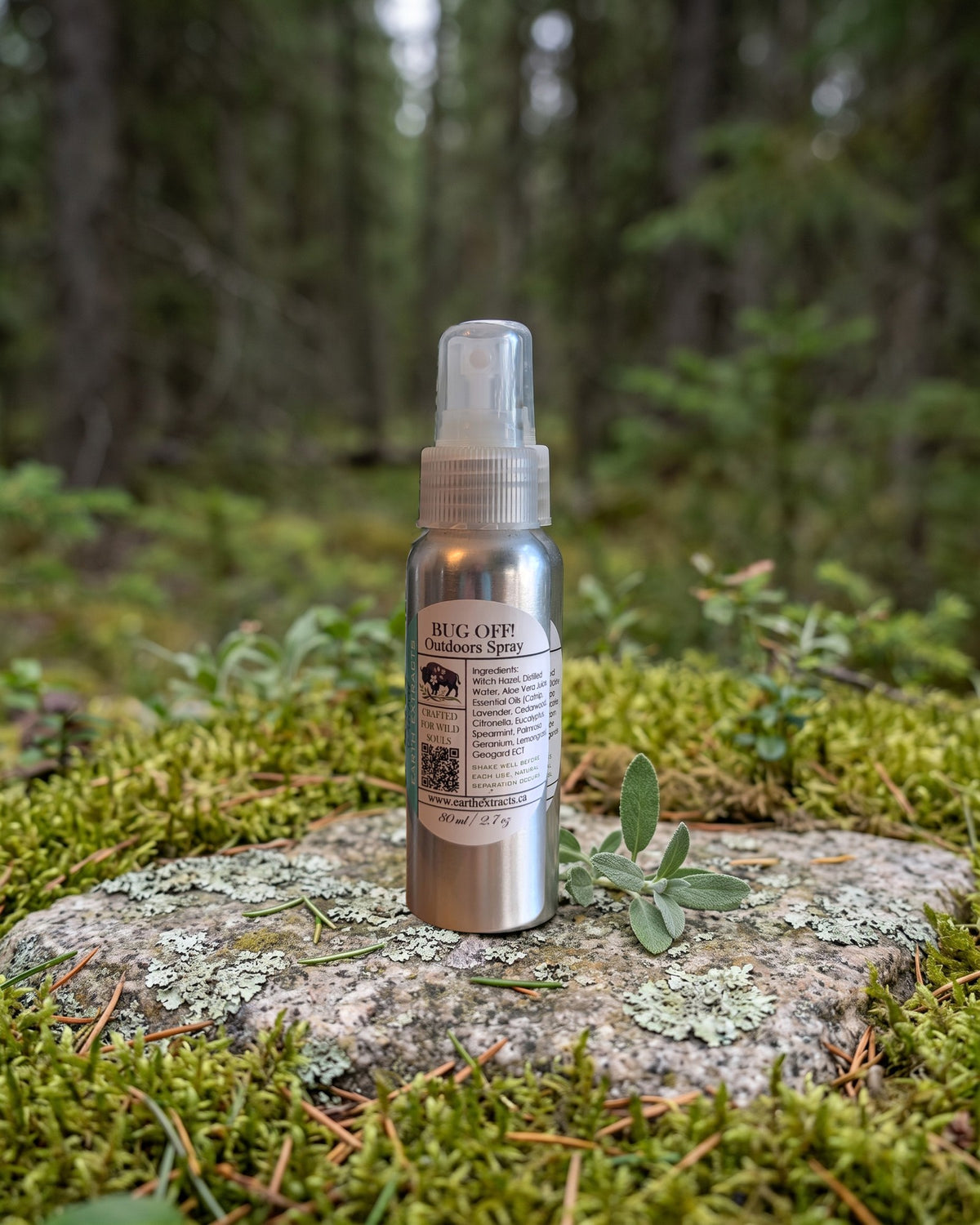 Bug Off! Outdoors Spray on a lichen-covered granite stone on a boreal forest floor