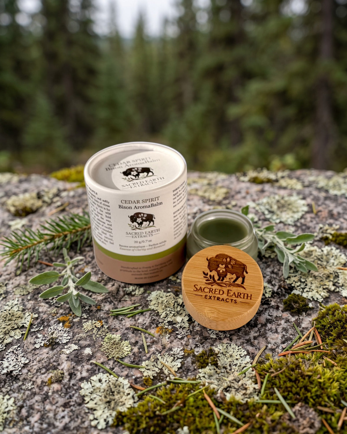 Cedar Spirit Bison AromaBalm on a lichen-covered granite stone on a boreal forest floor