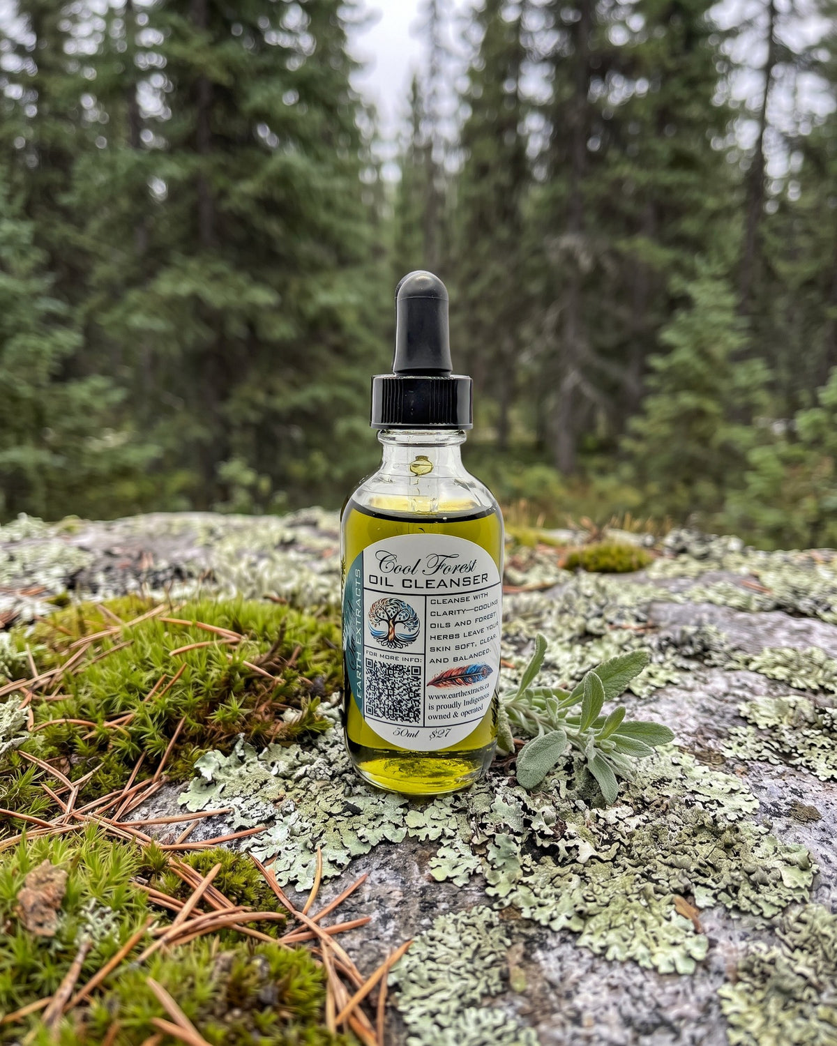 Cool Forest Facial Oil Cleanser on a lichen-covered granite stone on a boreal forest floor