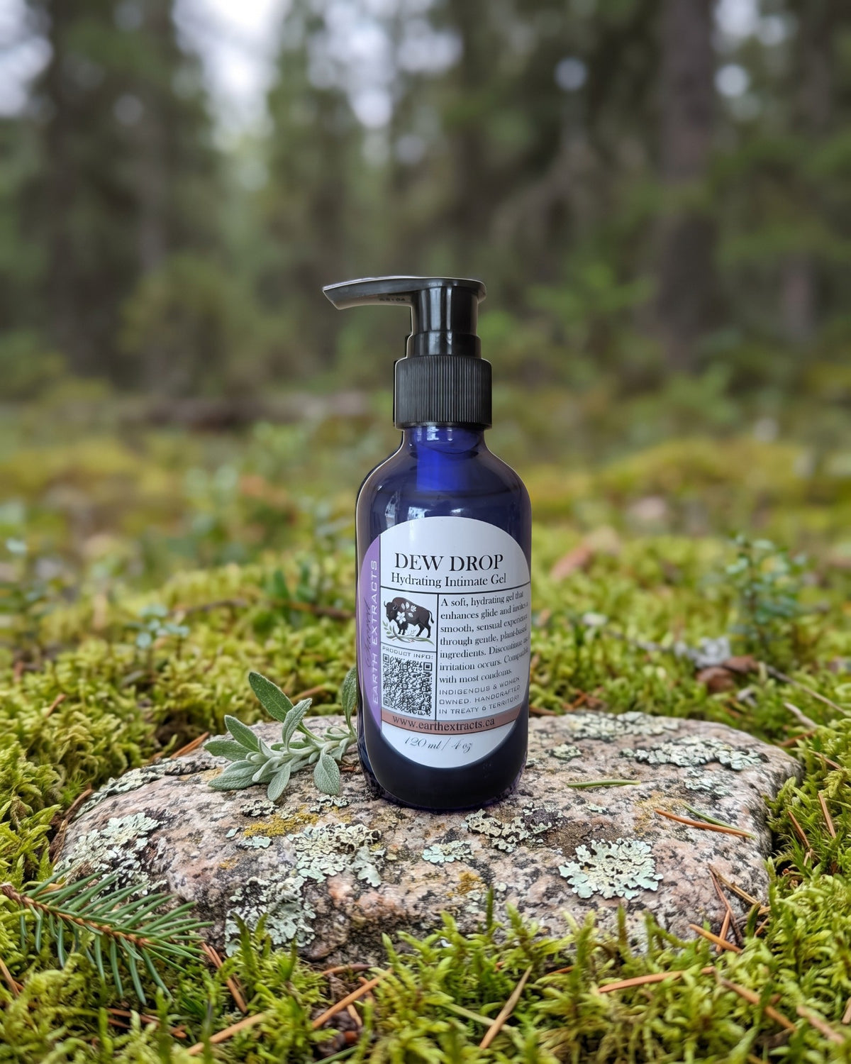 Dew Drop Water Based Lubricant on a lichen-covered granite stone on a boreal forest floor
