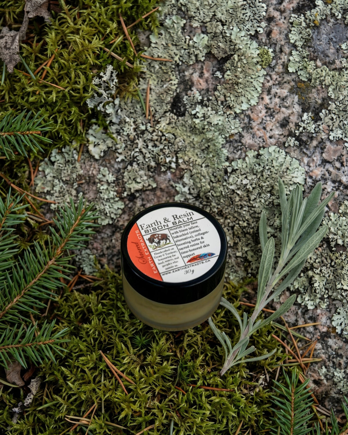 Earth & Resin Bison Facial Balm on a lichen-covered granite stone on a boreal forest floor