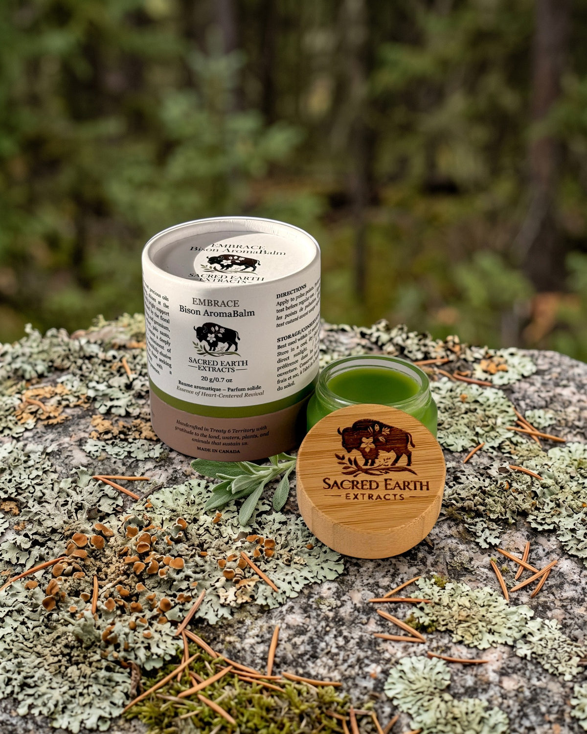 Embrace Bison AromaBalm on a lichen-covered granite stone on a boreal forest floor