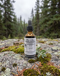 Flow State Focus Tincture on a lichen-covered granite stone on a boreal forest floor
