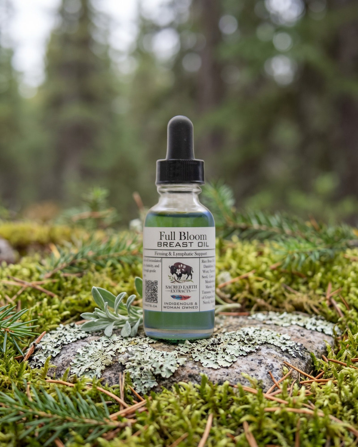 Full Bloom Breast Oil on a lichen-covered granite stone on a boreal forest floor