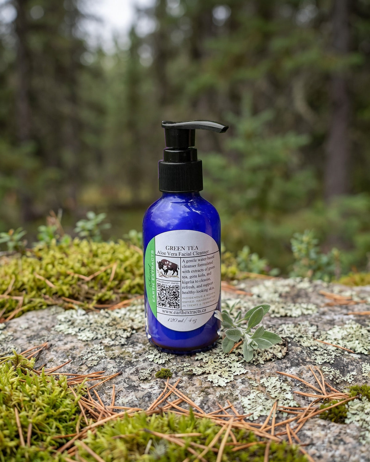 Green Tea Aloe Vera Facial Cleanser on a lichen-covered granite stone on a boreal forest floor