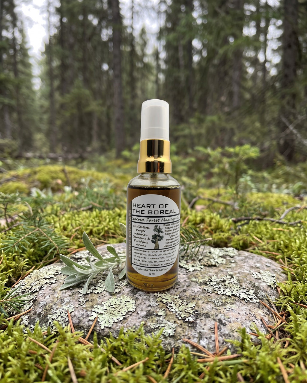 Heart of the Boreal Massage Oil on a lichen-covered granite stone on a boreal forest floor