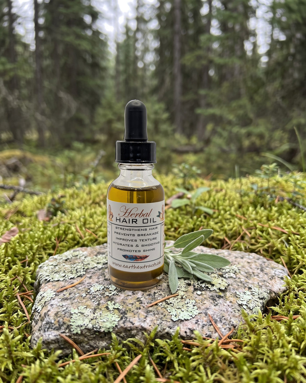 Herbal Hair Oil on a lichen-covered granite stone on a boreal forest floor