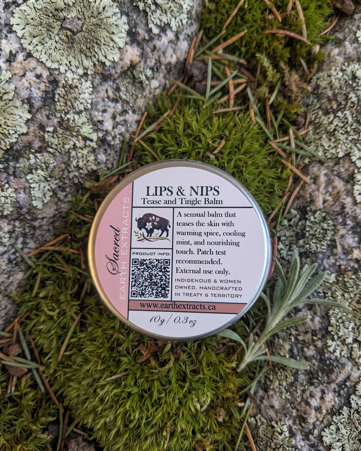 Lips & Nips Stimulating Tallow Balm on a lichen-covered granite stone on a boreal forest floor