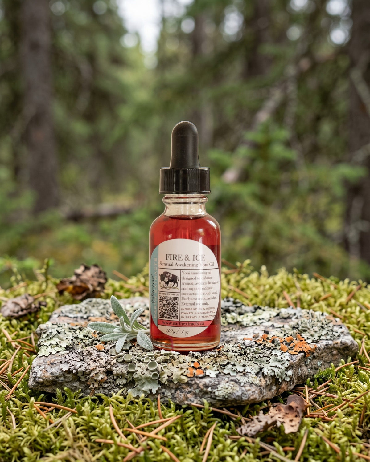 Fire & Ice Stimulating Yoni Oil on a lichen-covered granite stone on a boreal forest floor