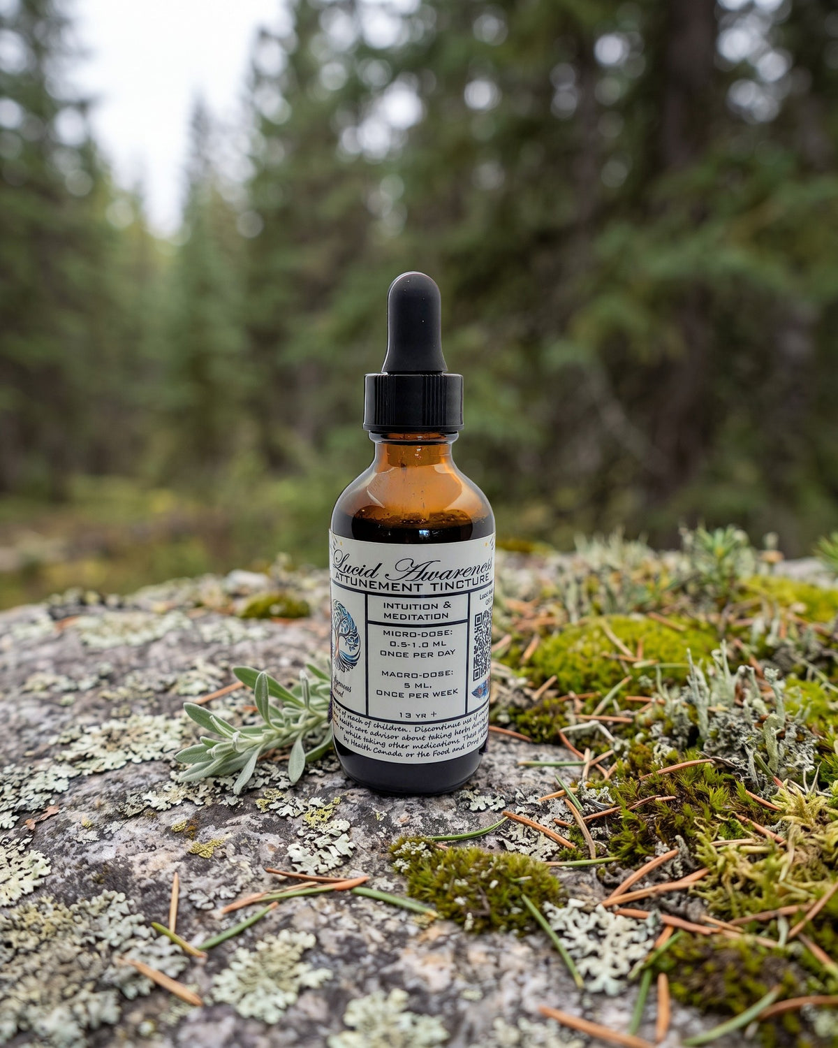Lucid Awareness Attunement Tincture on a lichen-covered granite stone on a boreal forest floor