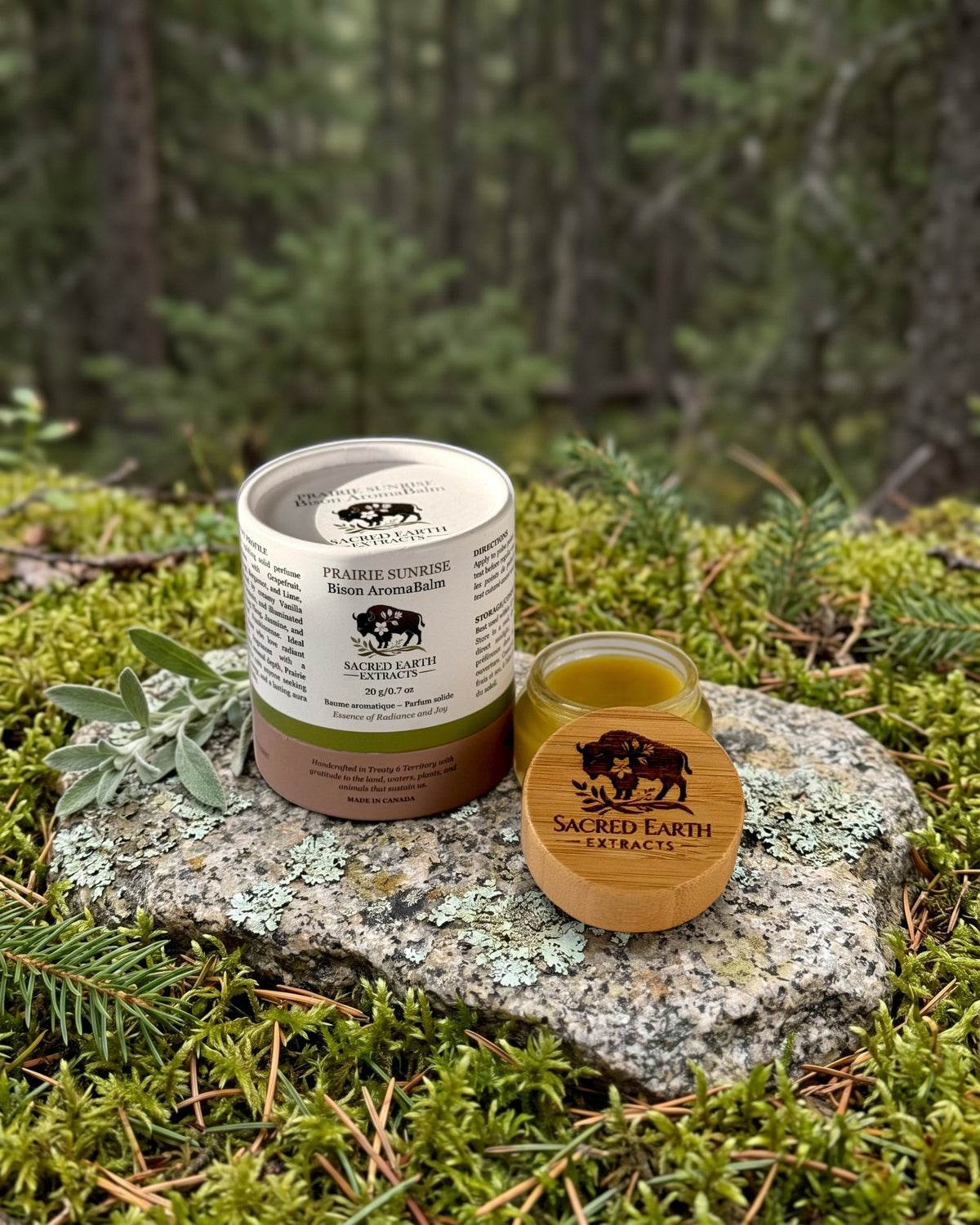 Prairie Sunrise Bison AromaBalm on a lichen-covered granite stone on a boreal forest floor