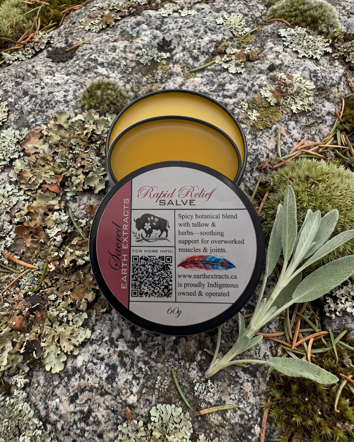 Rapid Relief Herbal Pain Remedy on a lichen-covered granite stone on a boreal forest floor