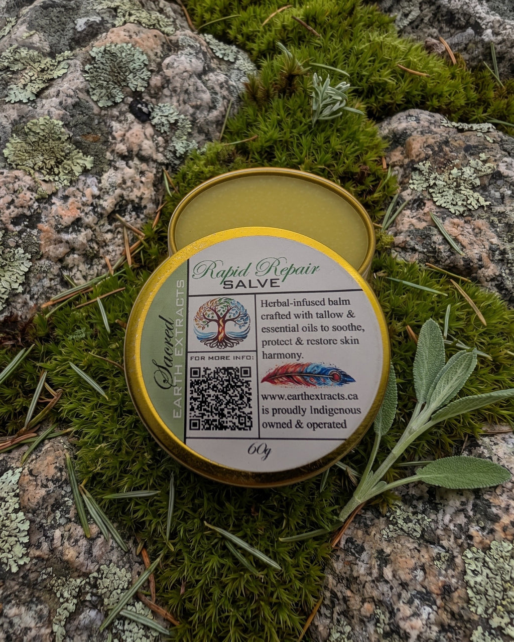 Rapid Repair Tallow Salve on a lichen-covered granite stone on a boreal forest floor